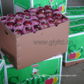 with Dark Red Color Red Delicious Apple/ Huaniu Apple